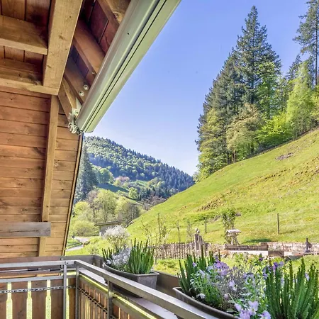 Apartamento Belchenzeit *