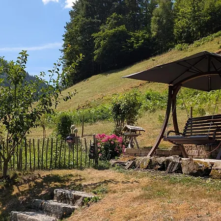 Apartamento Belchenzeit *